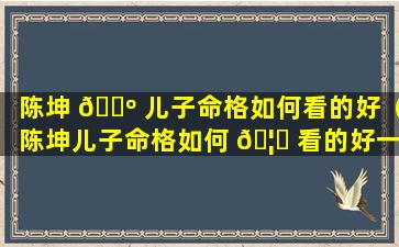 陈坤 🌺 儿子命格如何看的好（陈坤儿子命格如何 🦟 看的好一点）